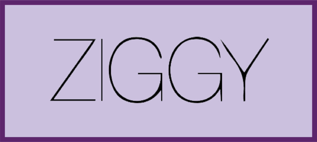 Lire la suite à propos de l’article NOUVELLE COLLECTION ZIGGY