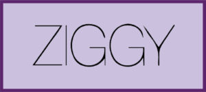 Lire la suite à propos de l’article NOUVELLE COLLECTION ZIGGY